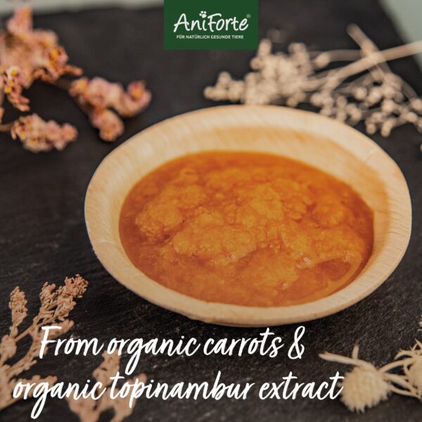 AniForte Organic Morosan - Prebiotik 100g