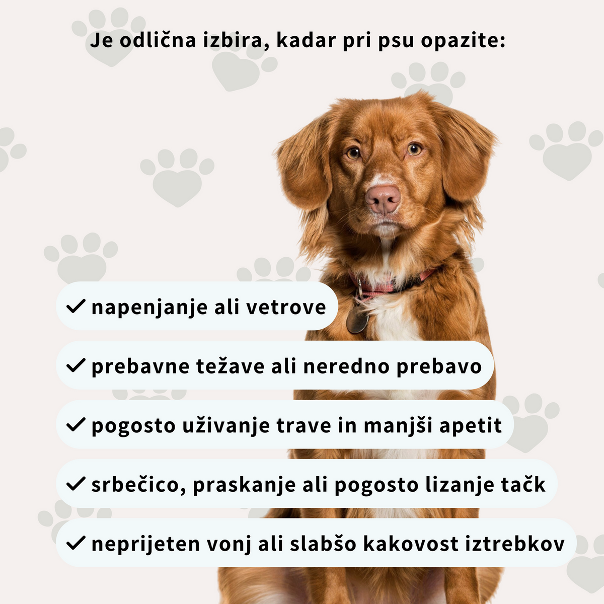 Prehransko dopolnilo za urejeno prebavo - v obliki priboljškov