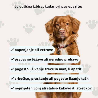 Prehransko dopolnilo za urejeno prebavo - v obliki priboljškov