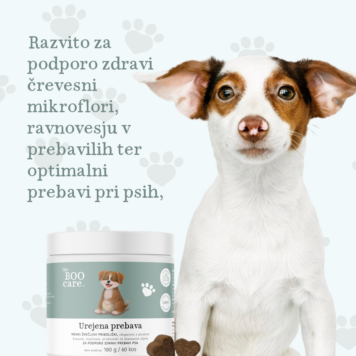 Prehransko dopolnilo za urejeno prebavo - v obliki priboljškov