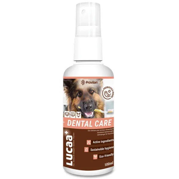 Provilan Vet - Dental Care 100ml Probiotično razpršilo proti zobnemu kamnu