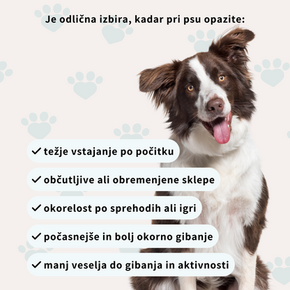 Prehransko dopolnilo za sklepe in kosti psov - v obliki priboljškov